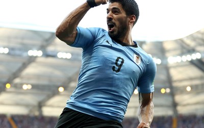 雷速电竞-凯特琳福特未来会执教吗